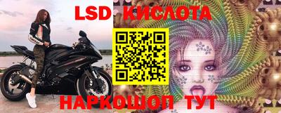 apvp Краснодар