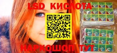 apvp Краснодар
