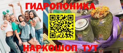 индика Краснознаменск