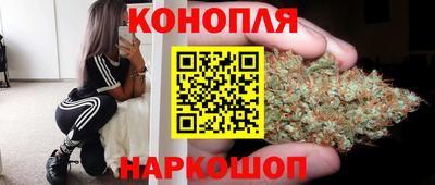 apvp Краснодар