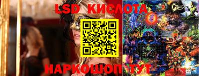 apvp Краснодар