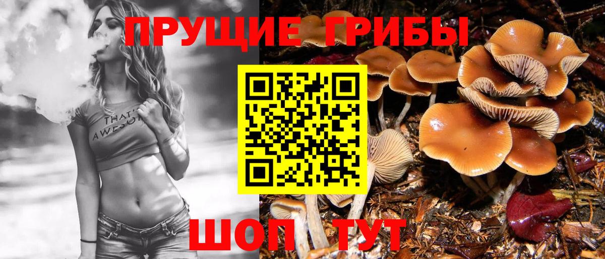 Псилоцибиновые грибы мухоморы Кемерово