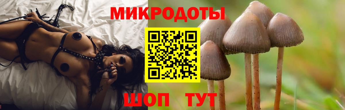 Псилоцибиновые грибы прущие грибы  Вход с VPN  Псилоцибиновые грибы прущие грибы  Кемерово 